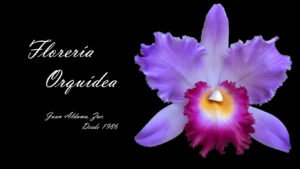 Florería Orquidea