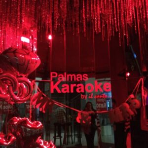 Palmas Karaoke by il canto                       