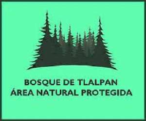 Área Natural Protegida Bosque De Tlalpan