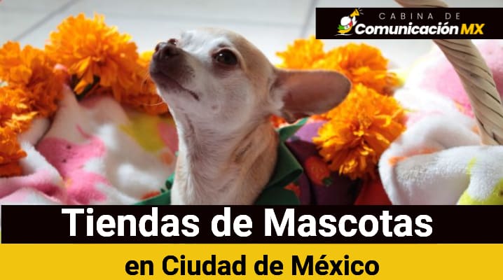 Tiendas de Mascotas en Ciudad de México